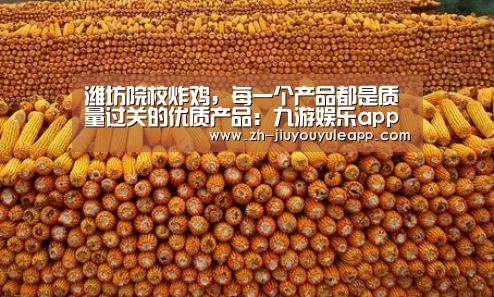 九游娱乐app