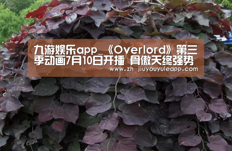 九游娱乐app